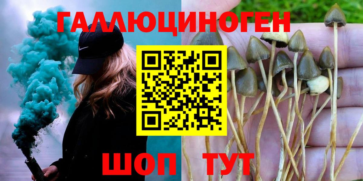 Касимов  Галлюциногенные грибы ЛСД  Вход с VPN  Галлюциногенные грибы MAGIC MUSHROOMS 